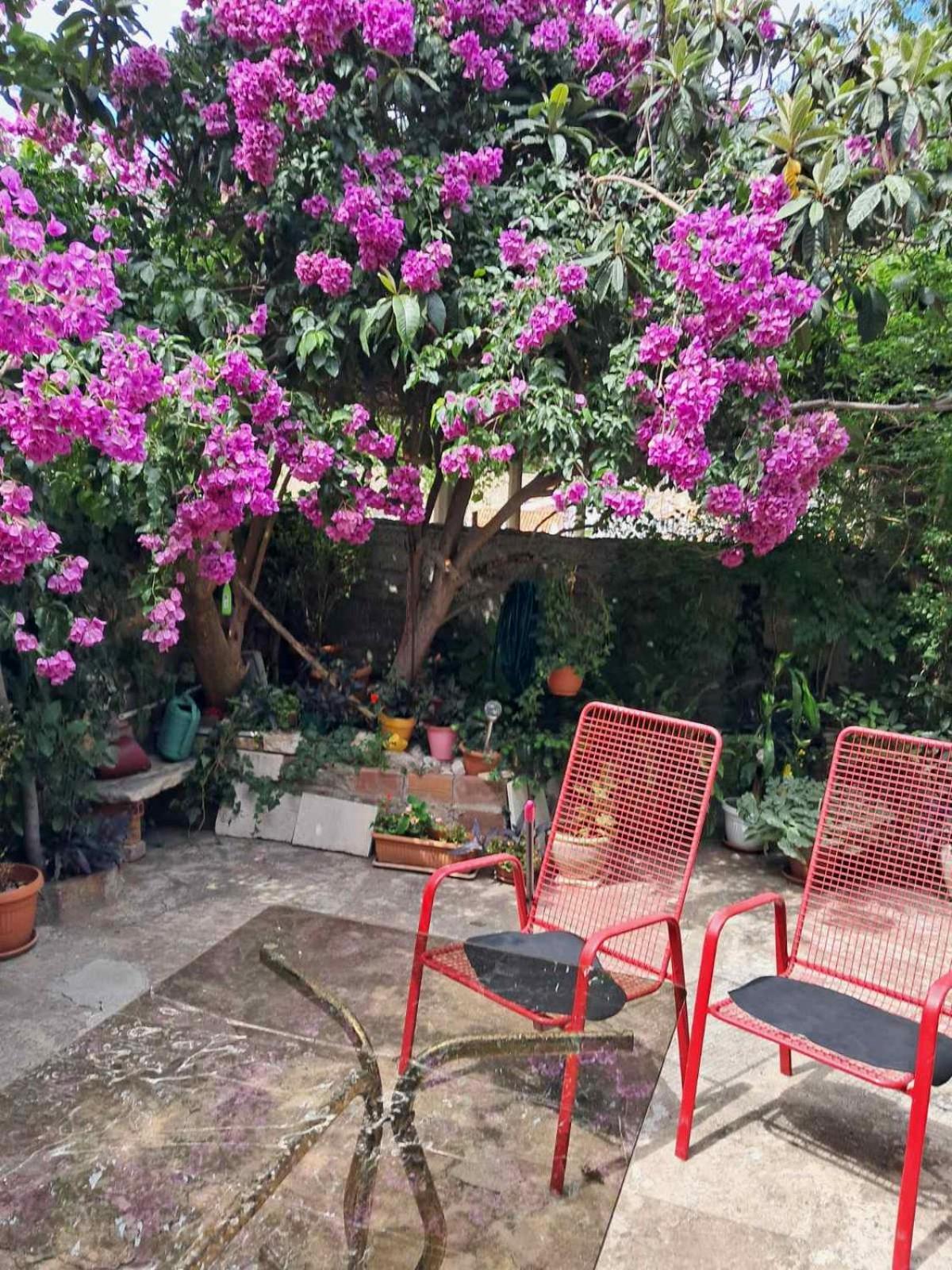 Old Town Green Oasis House Ντουμπρόβνικ Εξωτερικό φωτογραφία